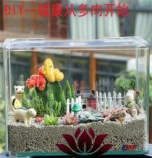 上海清繪園藝養護服務 以專業匠心，守護城市綠意之美